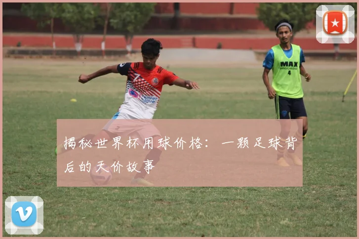 揭秘世界杯用球价格：一颗足球背后的天价故事