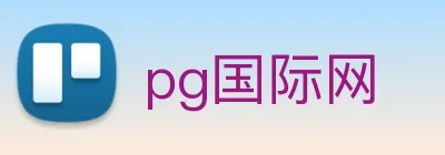 pg国际网 logo